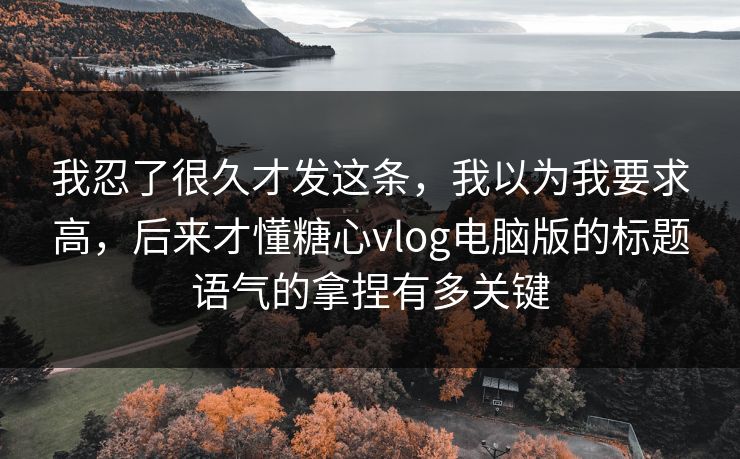 我忍了很久才发这条，我以为我要求高，后来才懂糖心vlog电脑版的标题语气的拿捏有多关键